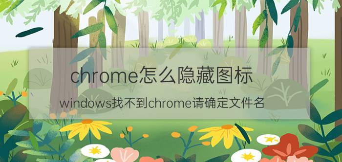 chrome怎么隐藏图标 windows找不到chrome请确定文件名？